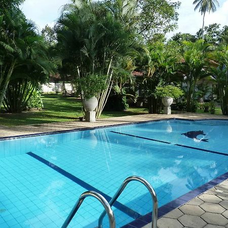 Fire Dragon Hideaway Hotel Negombo Exterior foto
