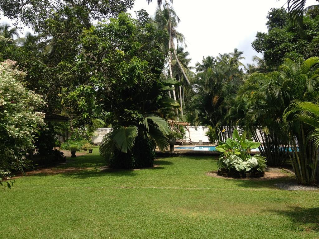 Fire Dragon Hideaway Hotel Negombo Exterior foto