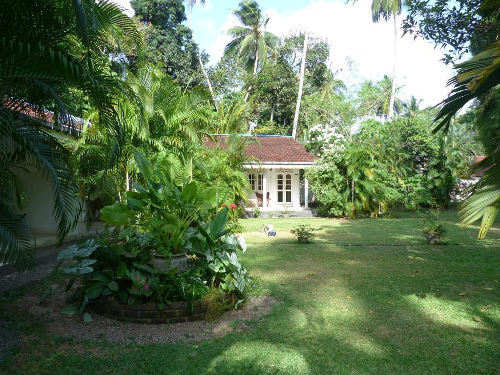 Fire Dragon Hideaway Hotel Negombo Exterior foto