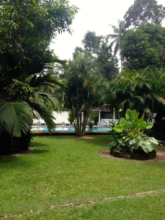 Fire Dragon Hideaway Hotel Negombo Exterior foto