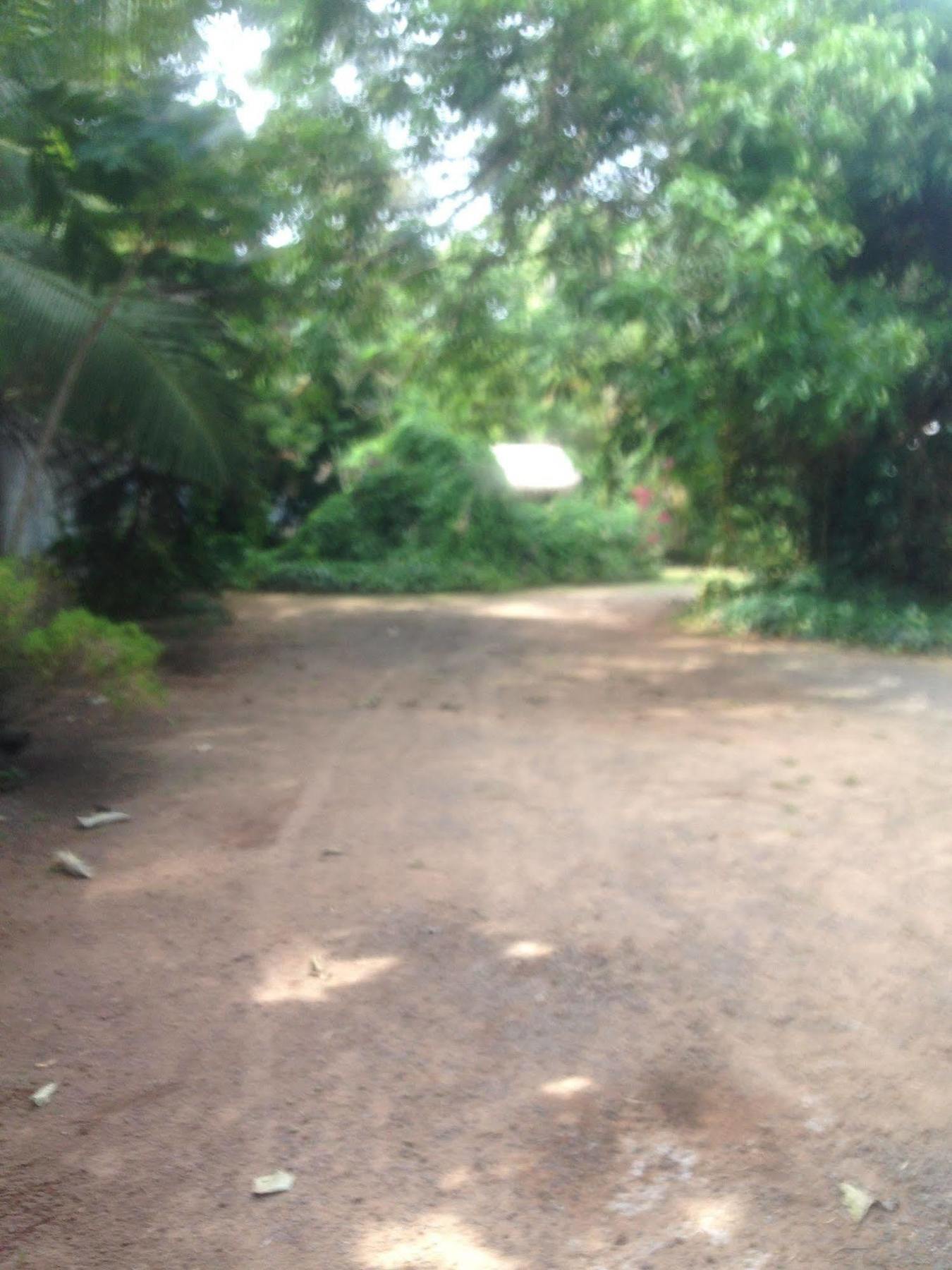 Fire Dragon Hideaway Hotel Negombo Exterior foto