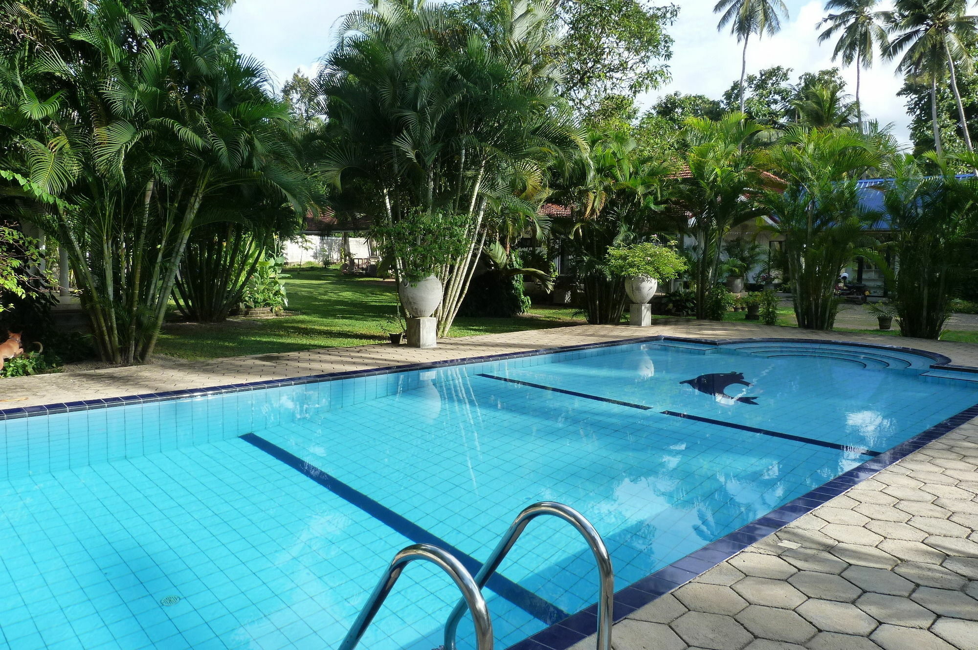 Fire Dragon Hideaway Hotel Negombo Exterior foto