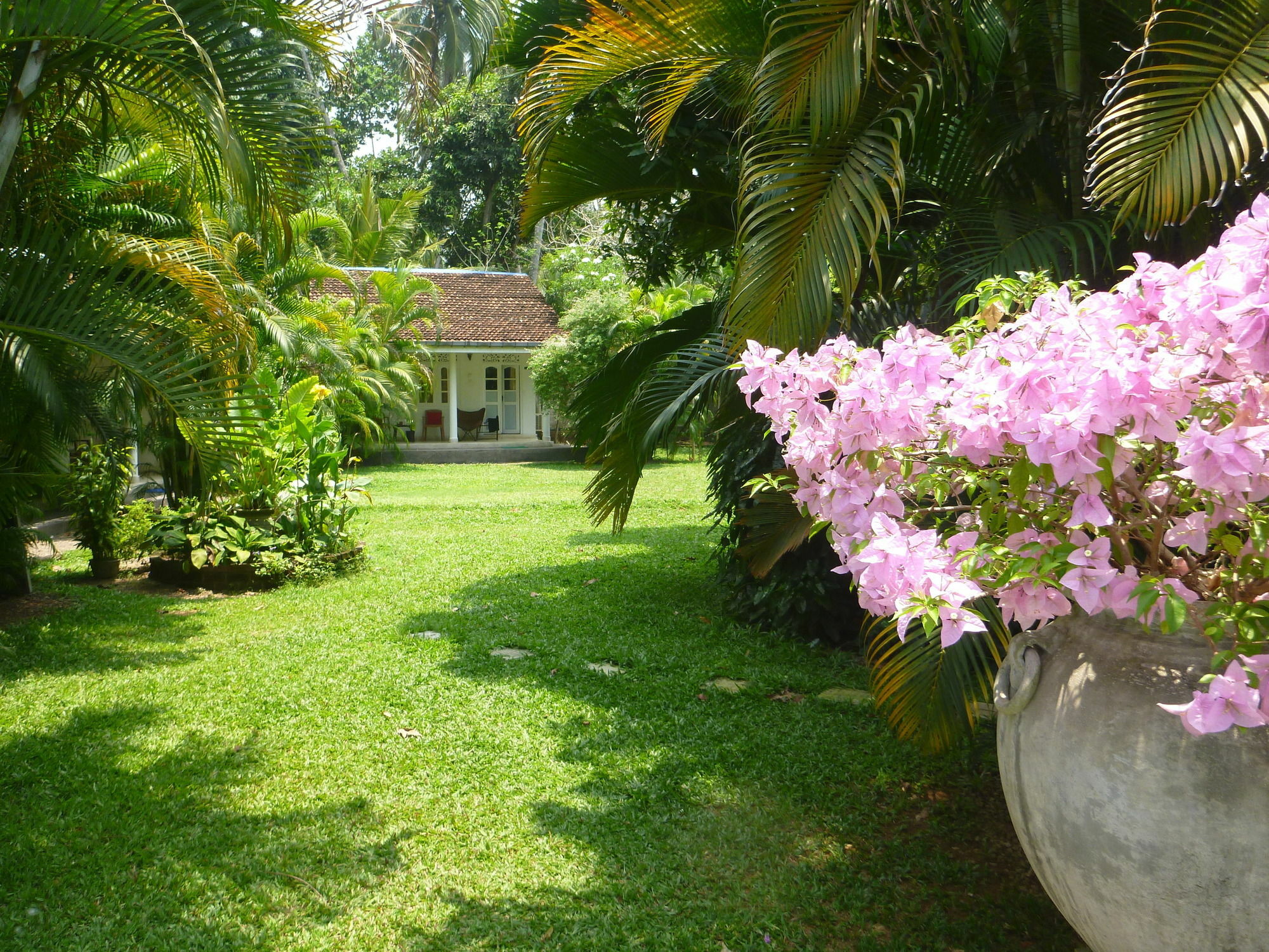 Fire Dragon Hideaway Hotel Negombo Exterior foto