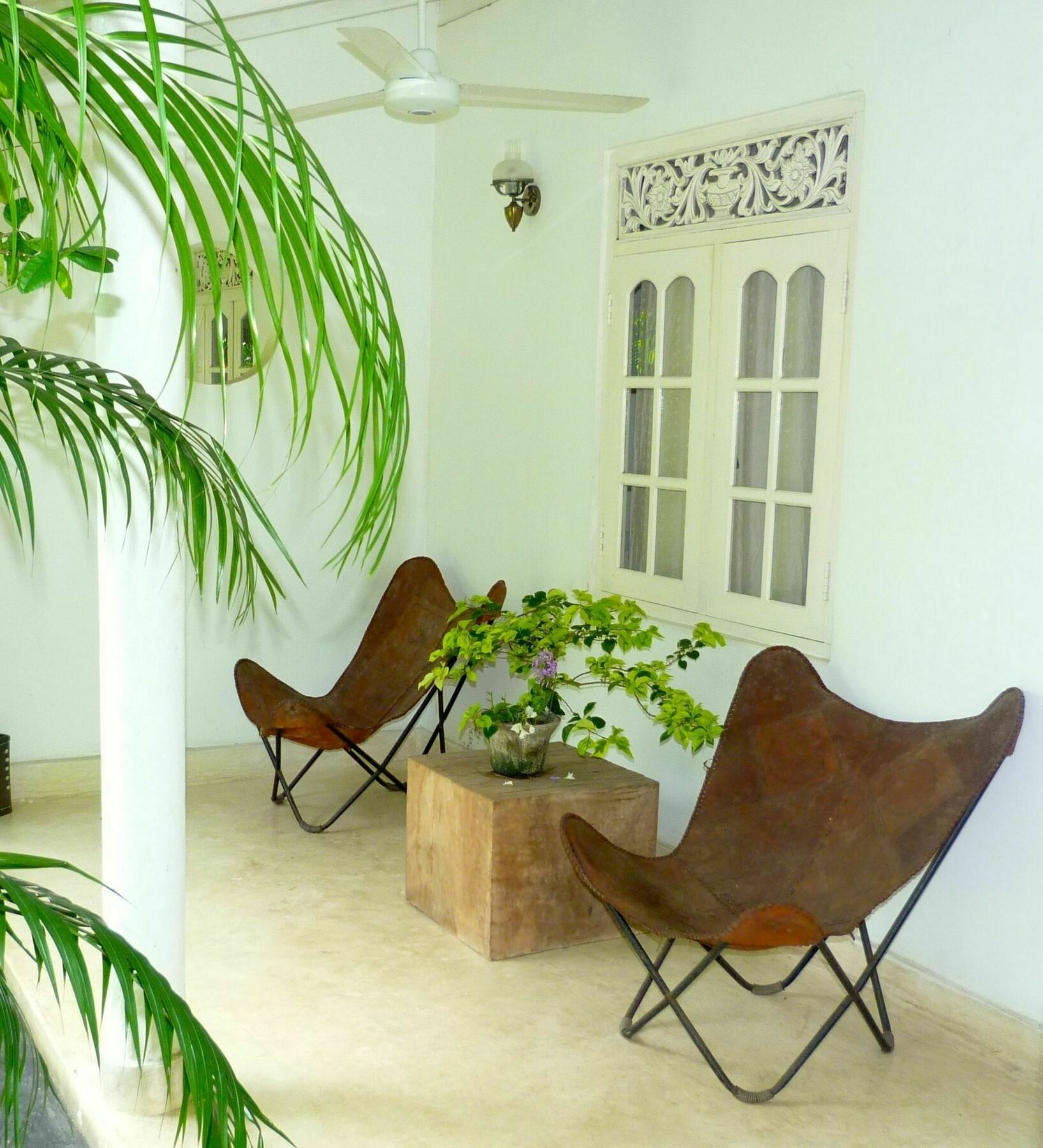 Fire Dragon Hideaway Hotel Negombo Exterior foto